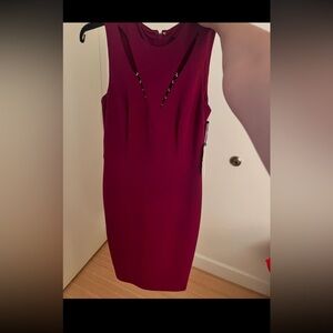 Elegant Sleeveless Burgundy Dress